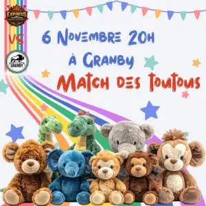 MATCH 6 NOVEMBRE